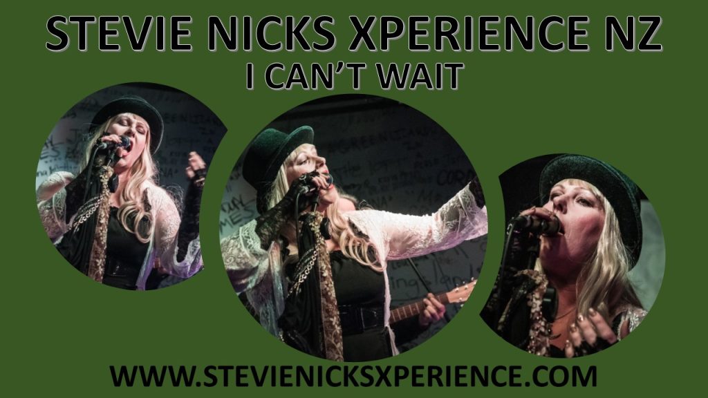 The Stevie Nicks Experience